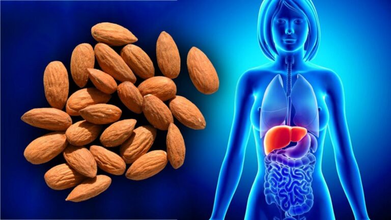 Une vieille astuce pour transformer votre santé avec seulement 35g d’amandes chaque jour…